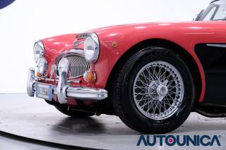 AUSTIN Healey usata 11