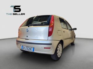 FIAT Punto usata, con Fendinebbia