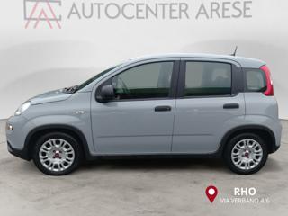 FIAT Panda usata, con Controllo trazione