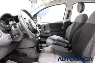FIAT Panda usata, con Airbag testa