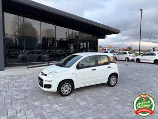 FIAT Panda usata, con Airbag Passeggero