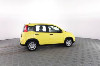 FIAT Panda usata 2