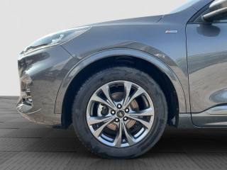 FORD Kuga usata 15