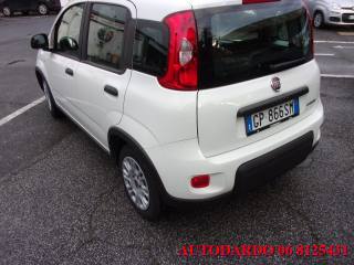 FIAT Panda usata, con Climatizzatore