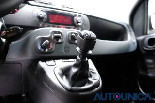 FIAT Panda usata 25