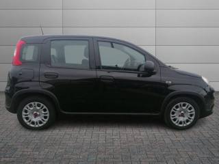 FIAT Panda usata, con Airbag Passeggero