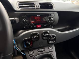 FIAT Panda usata 12