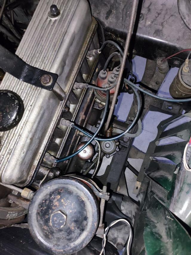 FIAT 1100 usata 40
