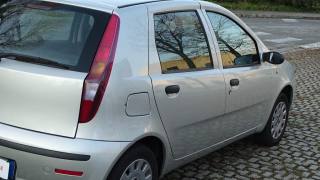 FIAT Punto usata 36