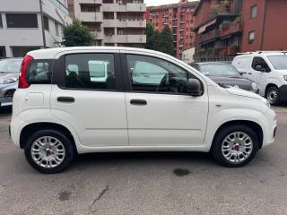 FIAT Panda usata, con Airbag Passeggero
