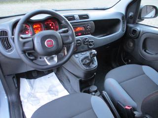 FIAT Panda usata 13