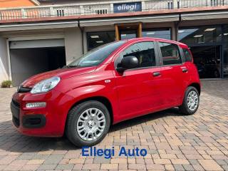 FIAT Pandina usata, con Bracciolo