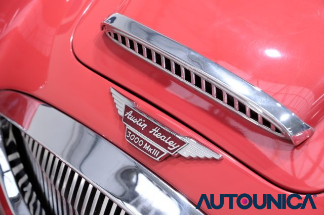 AUSTIN Healey usata 19