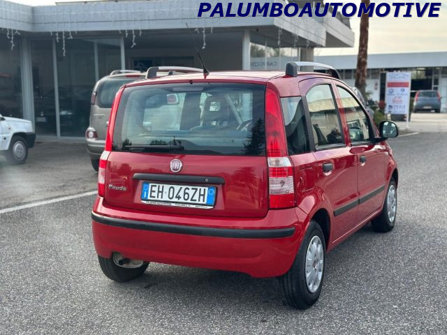 FIAT Panda usata, con Airbag Passeggero