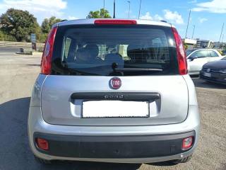 FIAT Panda usata 7