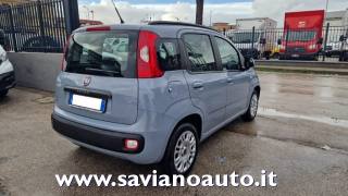 FIAT Panda usata, con Airbag Passeggero