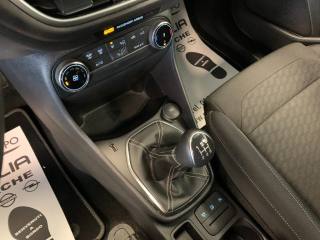 FORD Fiesta usata, con Controllo elettronico della corsia