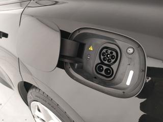 LOTUS Emeya usata, con Hill holder