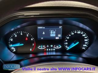 FORD Focus usata, con Cruise Control