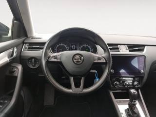 SKODA Octavia usata, con Fendinebbia