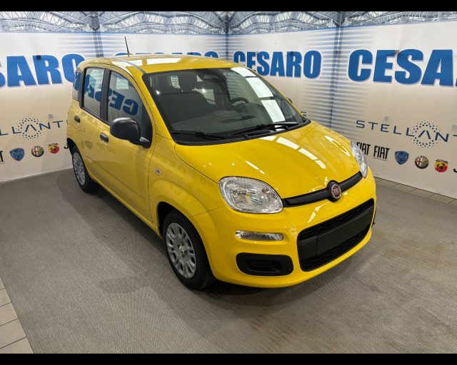 FIAT Pandina usata, con Airbag