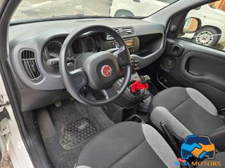 FIAT Panda usata, con Controllo trazione