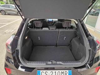 FORD Puma usata, con Fendinebbia