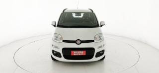 FIAT Panda usata 34