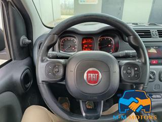 FIAT Panda usata, con Vetri oscurati