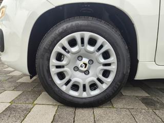 FIAT Panda usata, con Vivavoce
