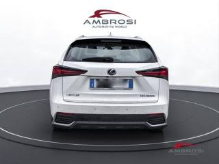 LEXUS NX 300h usata 7