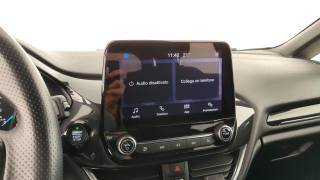 FORD Fiesta usata 52