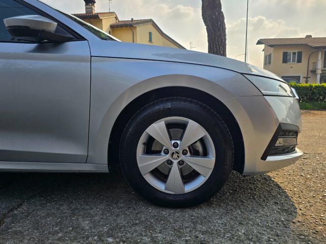 SKODA Octavia usata 135