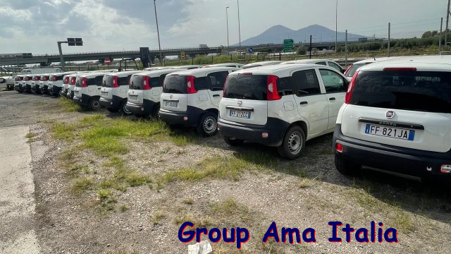 FIAT Punto usata, con Airbag testa