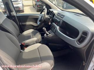 FIAT Panda usata, con Servosterzo