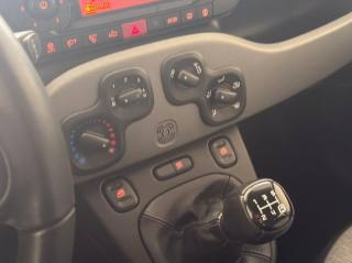 FIAT Panda usata 18