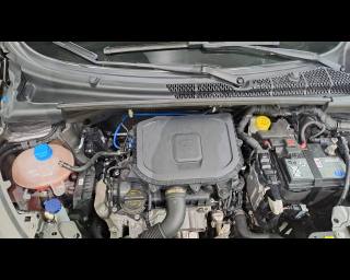 LANCIA Ypsilon usata 24