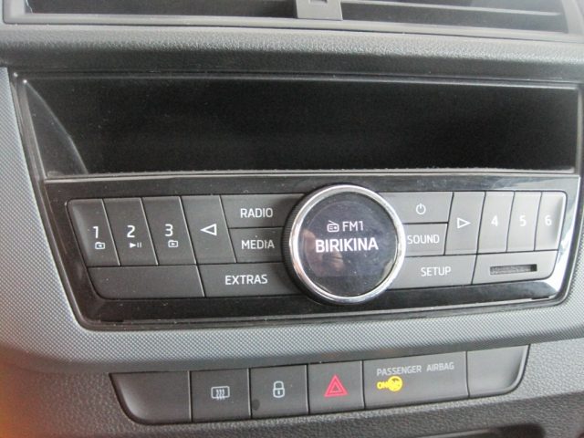 SKODA Fabia usata, con Airbag testa