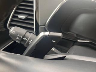DS AUTOMOBILES DS 7 usata, con Filtro antiparticolato