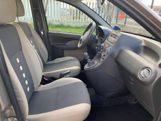 FIAT Panda usata, con Fendinebbia