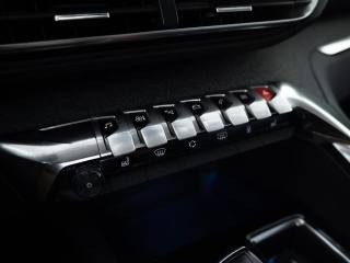 PEUGEOT 3008 usata, con Vetri oscurati