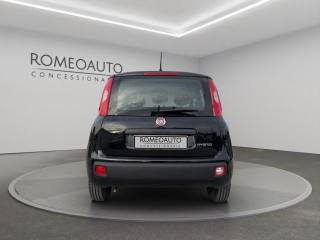 FIAT Panda usata, con Chiusura centralizzata