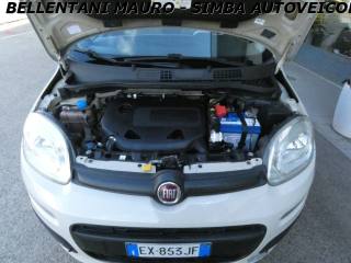 FIAT Panda usata 13