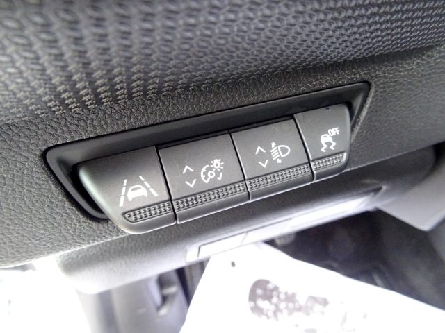 RENAULT Kangoo usata, con ESP