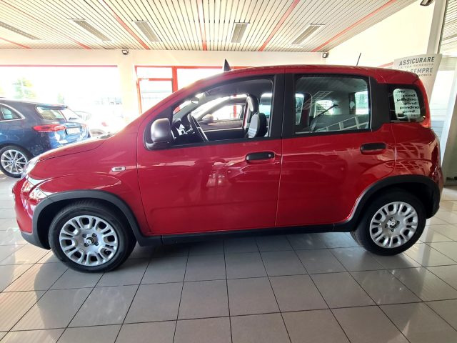 FIAT Panda usata, con Servosterzo