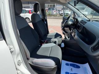 FIAT New Panda usata, con Volante multifunzione