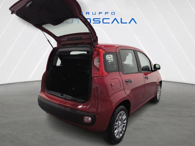 FIAT Pandina usata, con Airbag testa