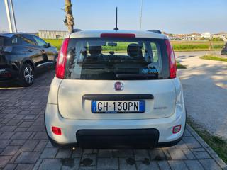 FIAT Panda usata, con Alzacristalli elettrici