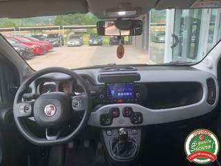 FIAT Panda usata, con Fendinebbia