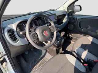 FIAT Panda usata 8